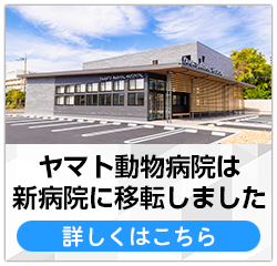 ヤマト動物病院新病院移転オープンしました