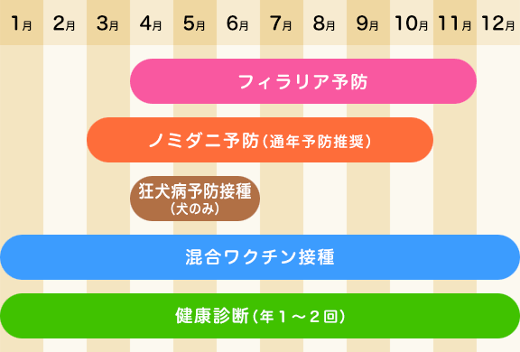 予防・健康診断 | ワクチン接種・フィラリア・ノミダニ・避妊去勢・健康診断 | ヤマト動物病院 | 静岡県富士宮市の動物病院